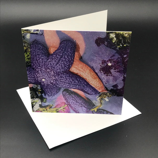 Starfish from the Sea ll Greeting Card