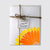 Freebird Letterpress Card Set of 4, Sunflower
