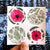 Saylormade Sticker Collection, Poppies & Ferns