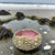 Ceramic Sea Urchin Bowls and Luminaries by Penny Eder (Searamics)