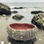 Ceramic Sea Urchin Bowls and Luminaries by Penny Eder (Searamics)