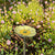Bee Spas and Garden Homes by Teresa Easton