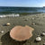 Decorative Bowls by Penny Eder