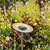 Bee Spas and Garden Homes by Teresa Easton