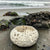 Ceramic Sea Urchin Bowls and Luminaries by Penny Eder (Searamics)