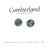 Botanical Earrings by Cumberland Creations