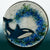 Westcoast Fused Glass by Alison Garrett-Hanneson