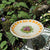 Bee Spas and Garden Homes by Teresa Easton