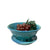 Yarn and Berry Bowl Collection by Libby Wray