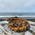 Grant Warrington Seaweed Basket and Platter Collection