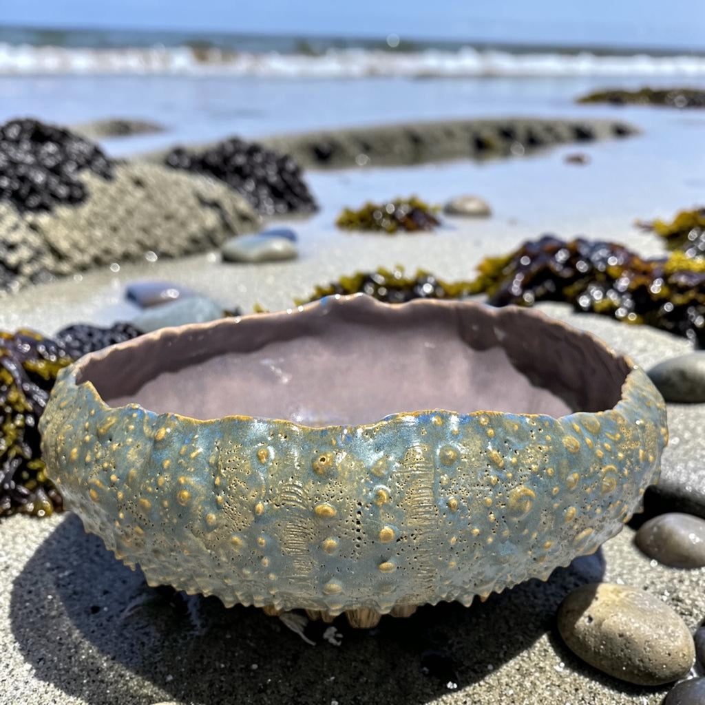 Ceramic Sea Urchin Bowls and Luminaries by Penny Eder (Searamics)