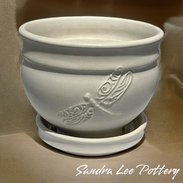 Plant Pot Collection by Sandra Lee