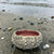 Ceramic Sea Urchin Bowls and Luminaries by Penny Eder (Searamics)