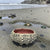 Ceramic Sea Urchin Bowls and Luminaries by Penny Eder (Searamics)