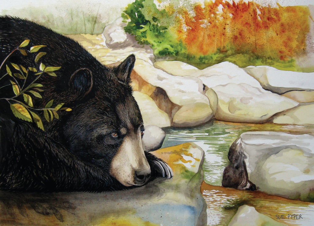 Sue Pyper Artist - Cards