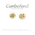 Botanical Earrings by Cumberland Creations