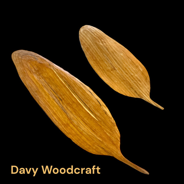 Wooden Decorative Feathers by Davy Woodcraft
