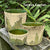 Decorative and Functional Bowls and Pots by Teresa Easton