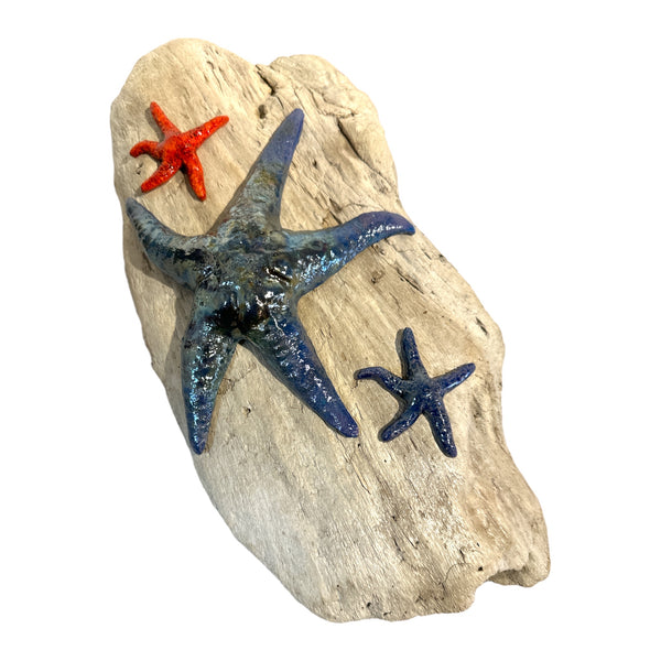 Driftwood with Sea Star Wall Hanging 