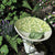 Bee Spas and Garden Homes by Teresa Easton