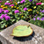 Trays and Plates by Teresa Easton