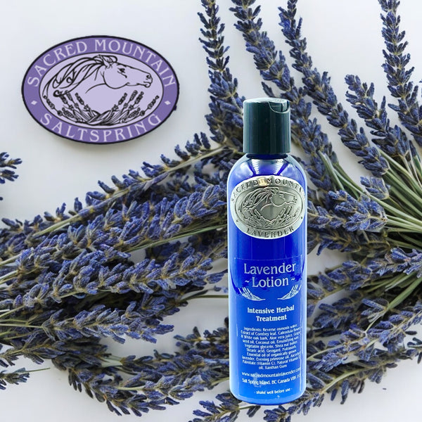 Organic Lavender Lotion by Sacred Mountain Lavender
