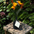 Felted Flowers by Krista