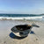 Decorative Bowls by Penny Eder