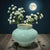 Moon Vases by Nancy Alexander
