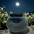 Moon Vases by Nancy Alexander