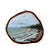 Mara Szyp's Live Edge and Resin Original Artwork