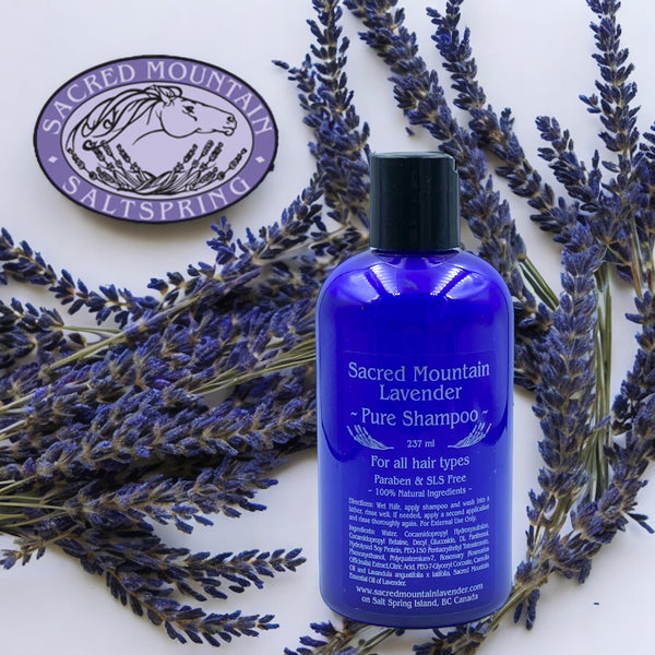Lavender Pure Shampoo by Sacred Mountain Lavender