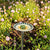 Bee Spas and Garden Homes by Teresa Easton