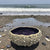 Ceramic Sea Urchin Bowls and Luminaries by Penny Eder (Searamics)