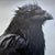Jill Fitz Hirschbold Photography on Dibond - "Thought and Memory"