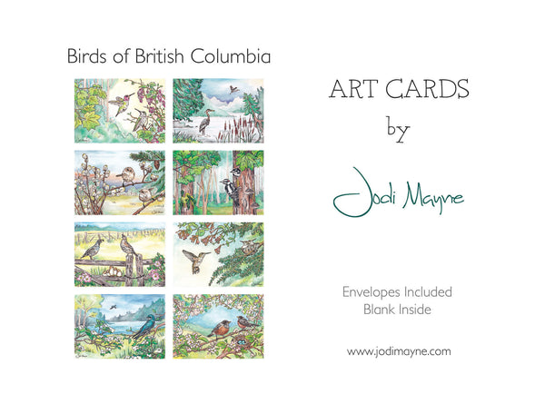 Jodi Mayne Art 8 Card Pack, Birds of British Columbia