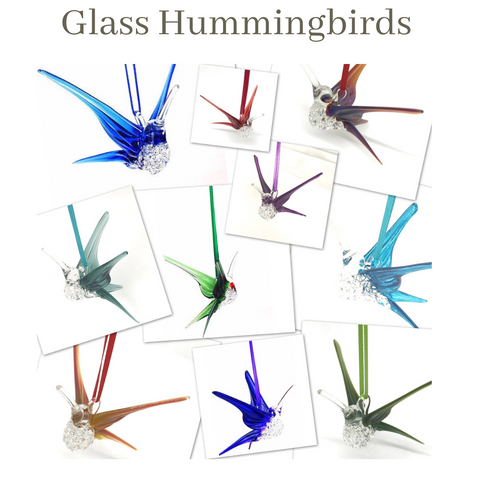 Glass Hummingbird
