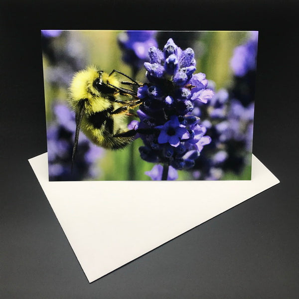Lavender Bee Greeting Card