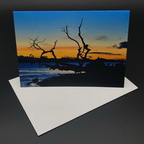 Cabbage Island Sunset ll Greeting Card