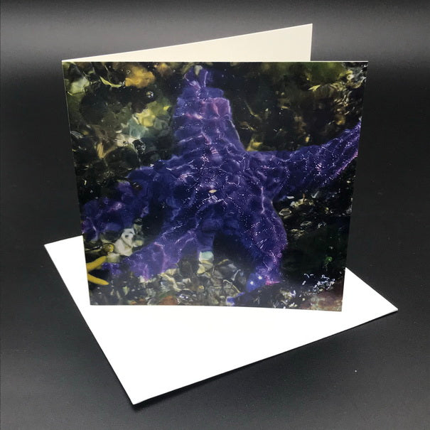 Stars for the Sea lV Greeting Card