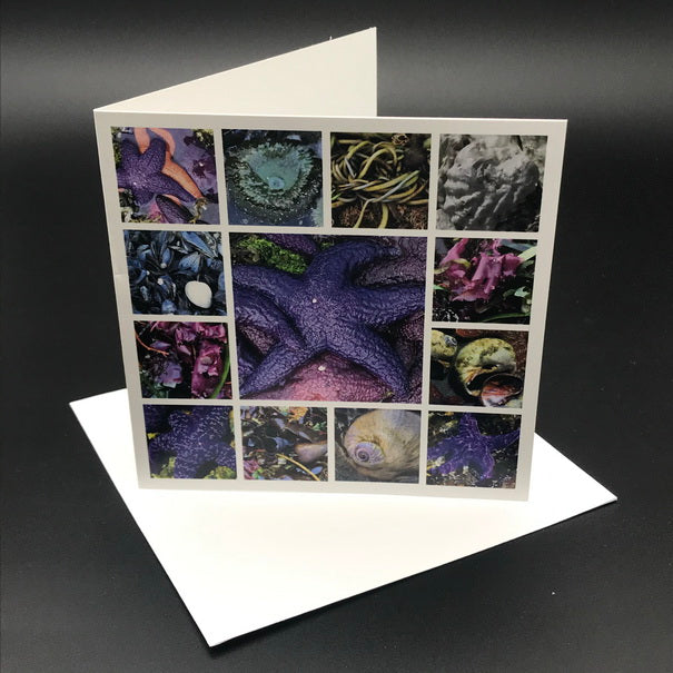 West Cost Tidepools Greeting Card