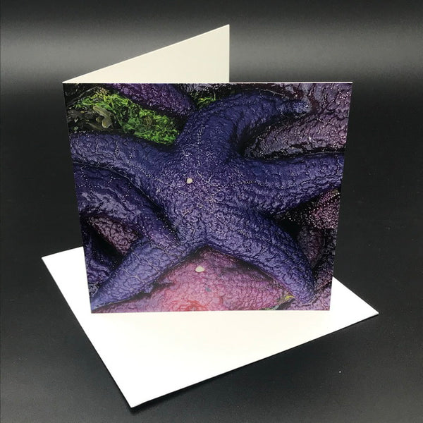 Starfish from the Sea ll Greeting Card
