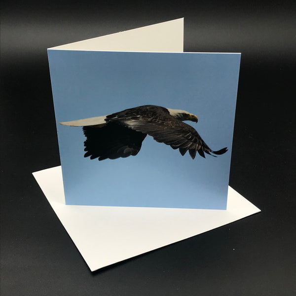 Eagle ll Greeting Card