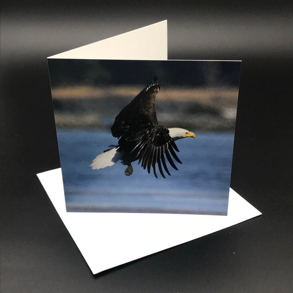 Eagle l Greeting Card