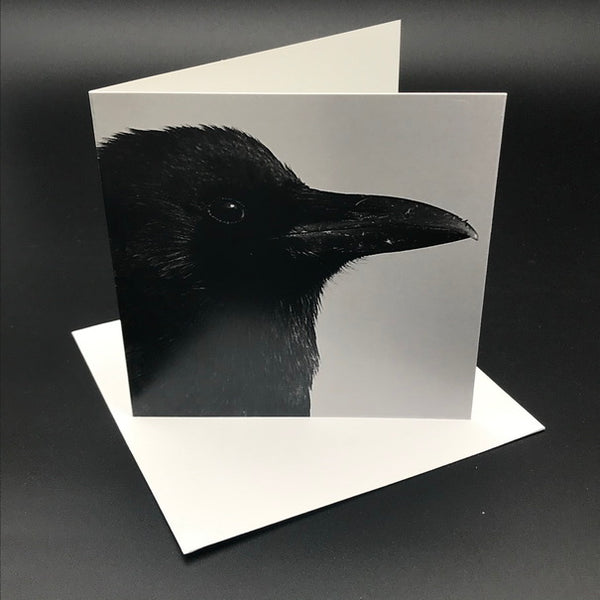 The Black Crow l Greeting Card