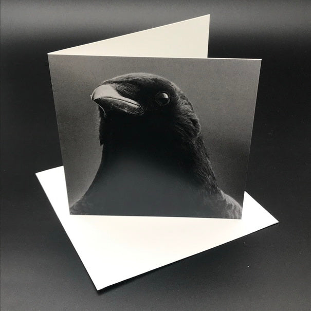The Black Crow lll Greeting Card