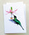 Greeting Cards by Coral Barclay, Hummingbird