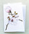 Greeting Cards by Coral Barclay, Sweet Magnolia