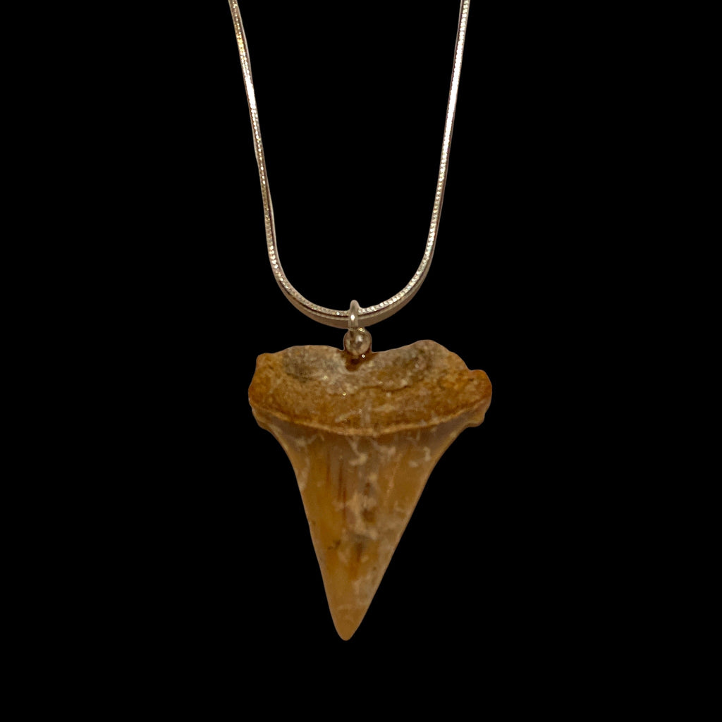 Elk Ivory Tooth Arrowhead Pendant / Necklace – Park City Jewelers