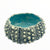 Ceramic Sea Urchin Bowls and Luminaries